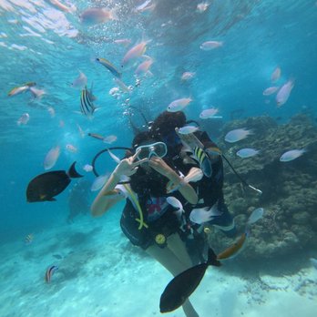 J Lamoglia - Dream Vacations - Travel Services Near Me J Lamoglia - Dream Vacations - Travel Services Near Me