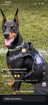 River Shannon by null