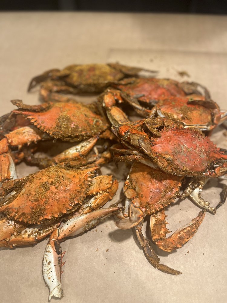 SALTY DOG’S CRAB HOUSE Updated September 2024 19 Photos & 42