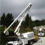 Photo of Pacific West Tree Service