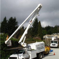 Pacific West Tree Service - Photo