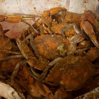 R&L Crab - Crabs - Food Delivery Services Near Me - Washington, DC, District of Columbia R&L Crab - Crabs - Food Delivery Services Near Me - Washington, DC, District of Columbia