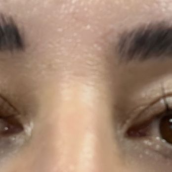 Brow Club - Immediately following Brow Lamination by Carla :) - Eyebrow Services Near Me Brow Club - Immediately following Brow Lamination by Carla :) - Eyebrow Services Near Me