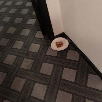 Kimpton Hotel Fontenot - Food decorating the hallway for a day and a half Wed-Thursday, maybe housekeeping thought someone was coming back. - Hotels Near Me - New Orleans, Louisiana Kimpton Hotel Fontenot - Food decorating the hallway for a day and a half Wed-Thursday, maybe housekeeping thought someone was coming back. - Hotels Near Me - New Orleans, Louisiana