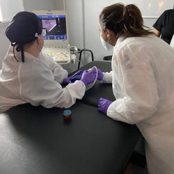 HRP Labs - Aspiraciones por Aguja Fina