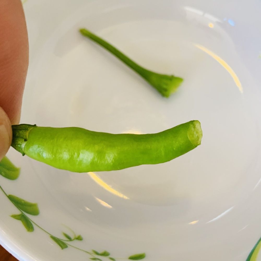 Pho Dalat Vietnamese Restaurant - Extreme heat! Server said it's home grown - Vietnamese Near Me - Chesapeake, Virginia Pho Dalat Vietnamese Restaurant - Extreme heat! Server said it's home grown - Vietnamese Near Me - Chesapeake, Virginia
