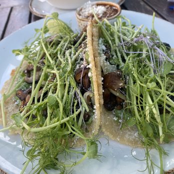 peasants FEAST - Mushroom tacos - American Near Me - Solvang, California peasants FEAST - Mushroom tacos - American Near Me - Solvang, California
