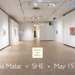 Richard Levy Gallery - Virtual Exhibition: Rania Matar