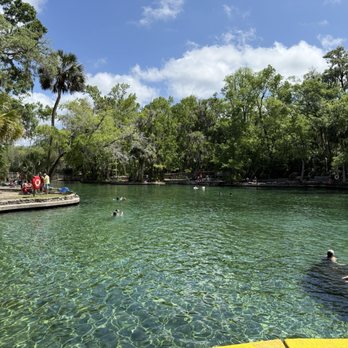 Wekiwa Springs State Park - Parks Near Me - Apopka, Florida Wekiwa Springs State Park - Parks Near Me - Apopka, Florida