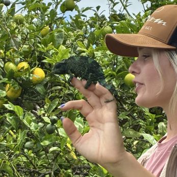 O'o Farms - Food Tours Near Me - Kula, Hawaii