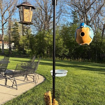 Stein's Garden & Home - Gord-o bird house, bird feeder, squirrel feeder, and stand. - Nurseries & Gardening Near Me - Brookfield, Wisconsin Stein's Garden & Home - Gord-o bird house, bird feeder, squirrel feeder, and stand. - Nurseries & Gardening Near Me - Brookfield, Wisconsin