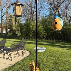 Stein's Garden & Home - Gord-o bird house, bird feeder, squirrel feeder, and stand.