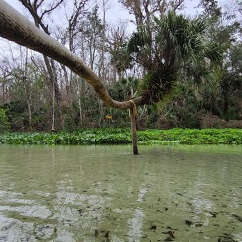 King's Landing - Rafting/Kayaking Near Me - Apopka, Florida