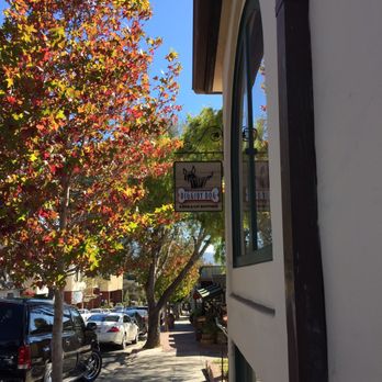 Diggidy Dog - Pet Stores Near Me - Carmel, California Diggidy Dog - Pet Stores Near Me - Carmel, California