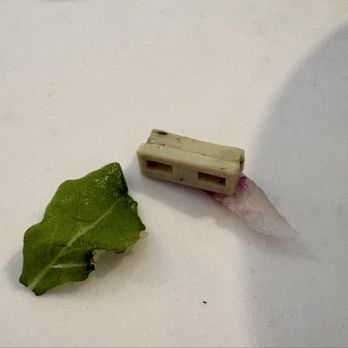 Federal Pizza - Tatum Blvd - Plastic piece in my salad - Pizza Near Me - Phoenix, Arizona