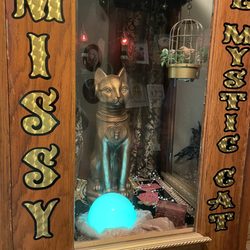 Black Cat Books and Oddities - Fortune teller cat
