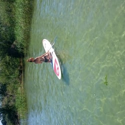 Alphasurf 