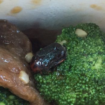 Jade China - Huge beetle in my beef and broccoli to go container - Chinese Near Me - Riverside, California Jade China - Huge beetle in my beef and broccoli to go container - Chinese Near Me - Riverside, California