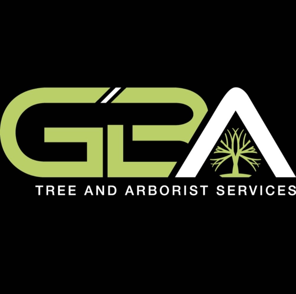Greater Bay Area Tree & Arborist Services - tree service in Seminole, FL