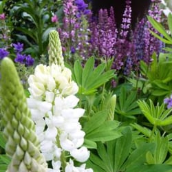 West Six Garden Centre - Outstanding plant quality