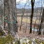 Photo of Mitch’s Maple
