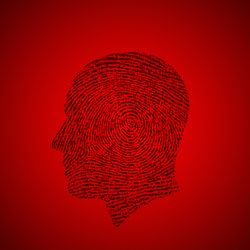 Carlson Investigations