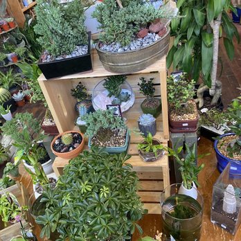 City Grows - Gift Shops Near Me - Pittsburgh, Pennsylvania City Grows - Gift Shops Near Me - Pittsburgh, Pennsylvania