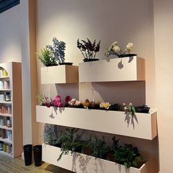 Blossom Flower Bar - Wall 1/2 of flowers