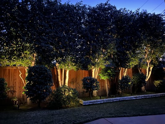 LED Landscape Lighting Logo