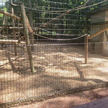 Southwick's Zoo - Amusement Parks Near Me - Mendon, Massachusetts