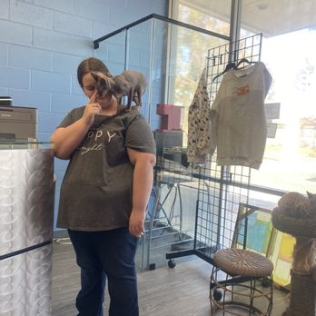 Cat Cafe Rescue - One of the spynx cats. - Pet Adoption Near Me - Chino Hills, California Cat Cafe Rescue - One of the spynx cats. - Pet Adoption Near Me - Chino Hills, California