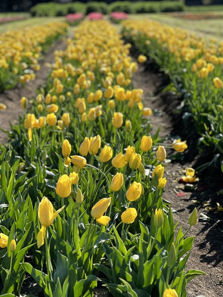 Underwood Family Farms