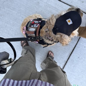 Sheffield's Wine & Beer Garden - Rory after being kicked out of the establishment His id badge is on his vest - Bars Near Me - Chicago, Illinois Sheffield's Wine & Beer Garden - Rory after being kicked out of the establishment His id badge is on his vest - Bars Near Me - Chicago, Illinois