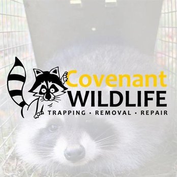 Covenant Wildlife - Wildlife Control Near Me - Sterrett, Alabama Covenant Wildlife - Wildlife Control Near Me - Sterrett, Alabama
