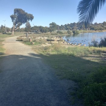 Radke Martinez Regional Shoreline - Parks Near Me - Martinez, California Radke Martinez Regional Shoreline - Parks Near Me - Martinez, California