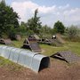 Photo of Markham Off-Leash Dog Area