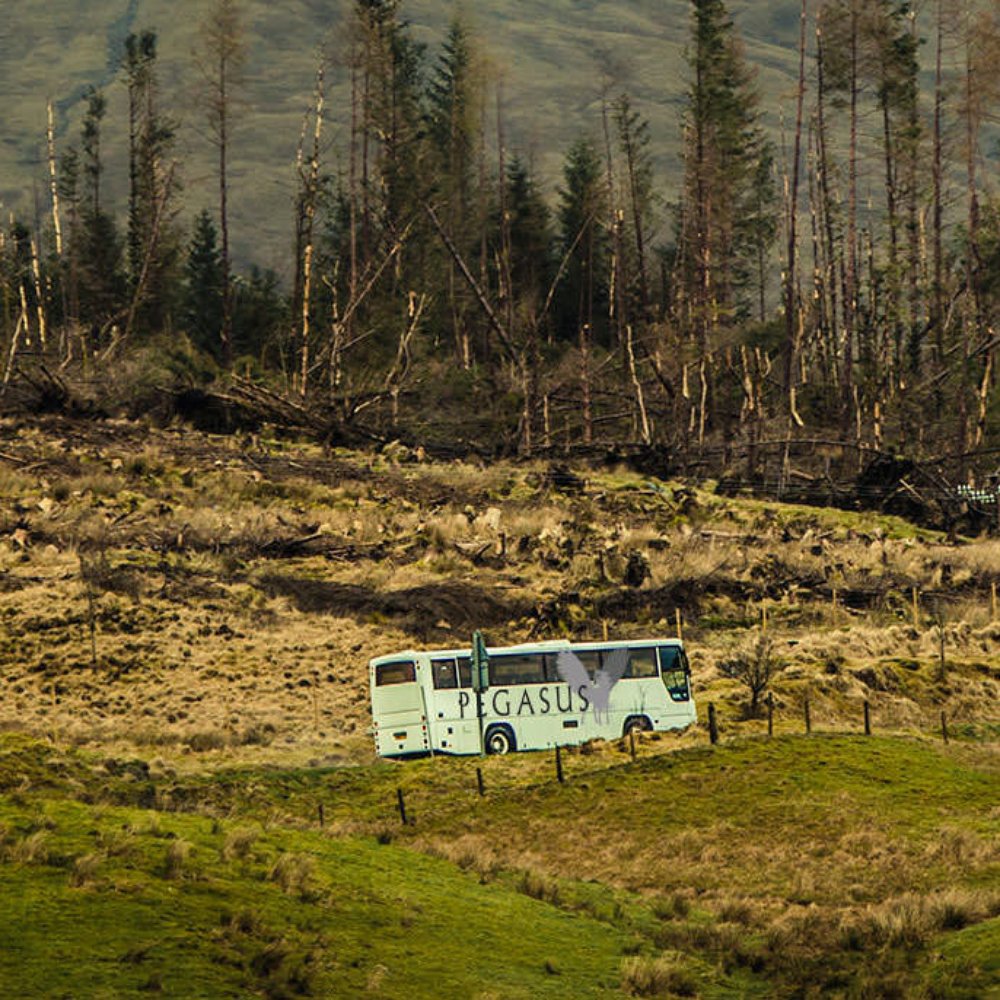 Pegasus Coaches - Pegasus Coach on an adventure! - Buses Near Me - Poole, POL