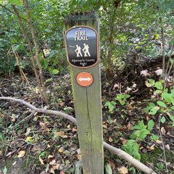 Mint Springs Valley Park