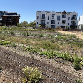 Fox Point Farms - You can see the radial farm plot, the community housing and the back of the Fox Point Haven and food stand - Venues & Event Spaces Near Me - Encinitas, California
