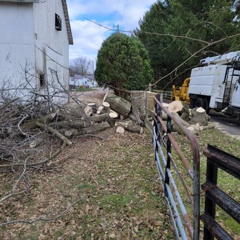 GAD Tree Experts - Tree Services Near Me - Moraine, Ohio GAD Tree Experts - Tree Services Near Me - Moraine, Ohio