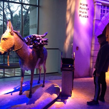 Witte Museum - Museums Near Me - San Antonio, Texas
