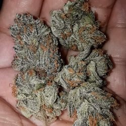 La Wholesale Medical Marijuana Delivery Dispensary - White Wdow Kush