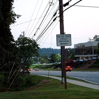 Big Trees Forest Preserve - the tiny sign that caught my eye -- and the car dealership just across the way. - Parks Near Me - Atlanta, Georgia Big Trees Forest Preserve - the tiny sign that caught my eye -- and the car dealership just across the way. - Parks Near Me - Atlanta, Georgia