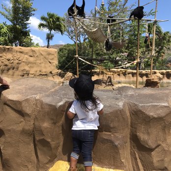 Honolulu Zoo - Zoos Near Me - Honolulu, Hawaii