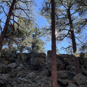 Fool Hollow State Park - Parks Near Me - Show Low, Arizona
