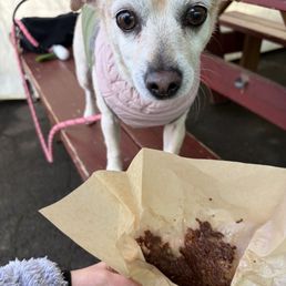 pup burger and laverne is ready to tear it up! pup burger and laverne is ready to tear it up!