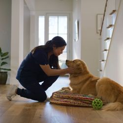 The Vets - Mobile Vet Care in San Diego