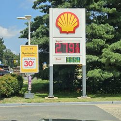 Sudley Shell - Yesss! Yesterday's prices ARE today's prices !!