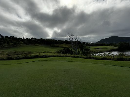 Hamilton Island Golf Club by null
