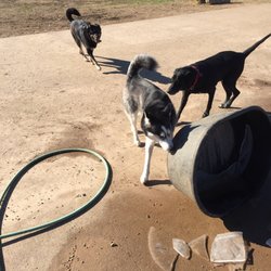 MacArthur Bark Park